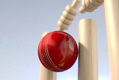 3D Cricket Ball Dislodging Bails