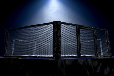 3D MMA Octagon Cage