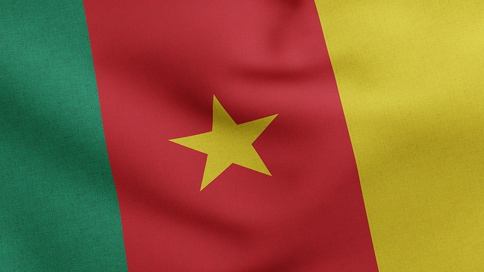 Cameroon Flag Close Up
