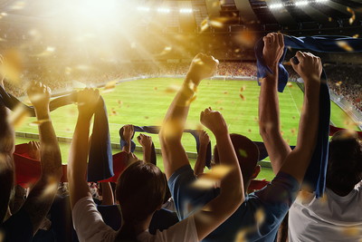 Cheering Fans in 3D Stadium
