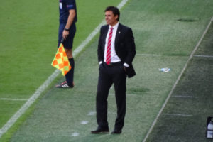 Chris Coleman On Pitch Sidelines