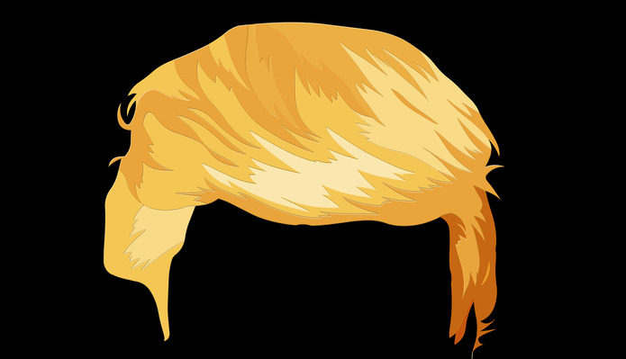 Donald Trump Hair