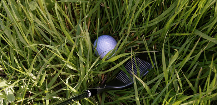 Golf Ball in the Rough