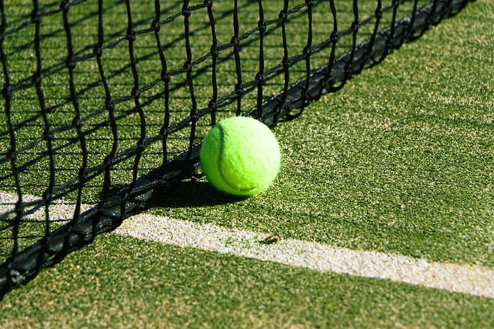Grass Court Tennis Ball and Net