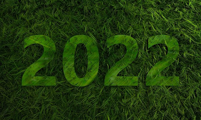 Green 2022 on Grass