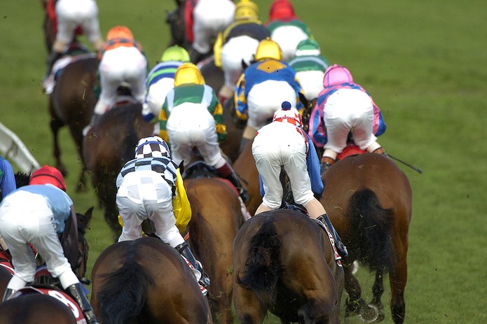 Group of Horses and Jockeys During Race