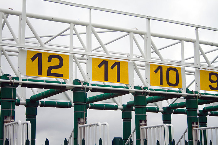 Horse Starting Stall Numbers
