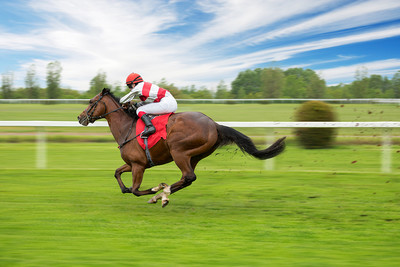 Horse and Jockey Wearing Red and White Silks