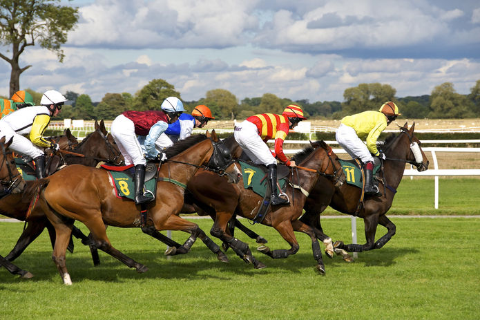 Horses Racing