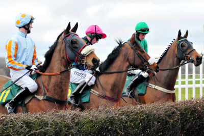 Horses Waiting at a National Hunt Fence