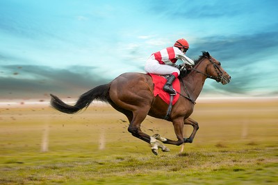 Isolated Horse and Jockey in Turf Race