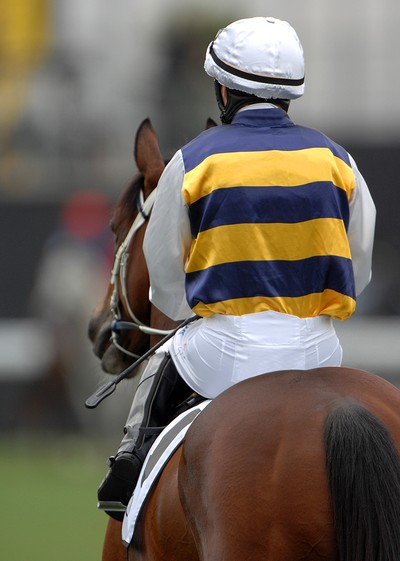 Jockey with Blue and Gold Silks