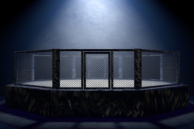 MMA Octagon Under Spotlight