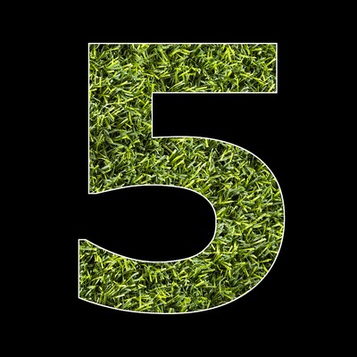 Number 5 Grass Background
