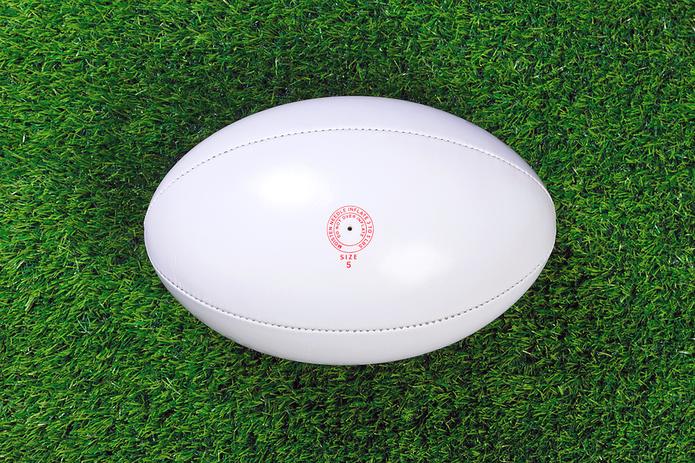 Rugby Ball on Grass
