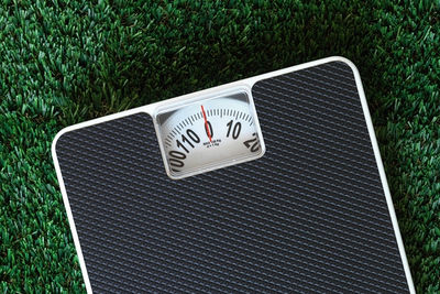 Scales on Grass