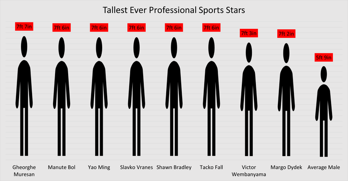 Chart Showing the Heights of the World's Tallest Ever Sports Stars