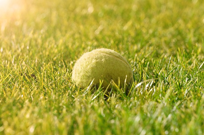 Tennis Ball on Grass