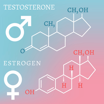 Testosterone and Oestrogen Molecular Formula Diagrams