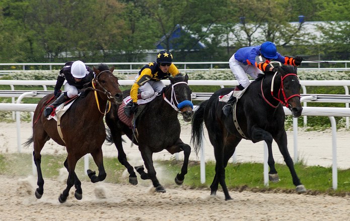 Three Horses Racing on Artificial Surface