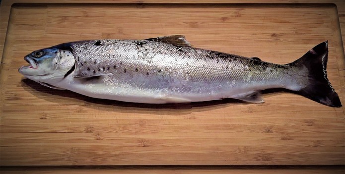 Trout on Wooden Board