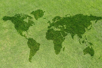 World Map on Grass